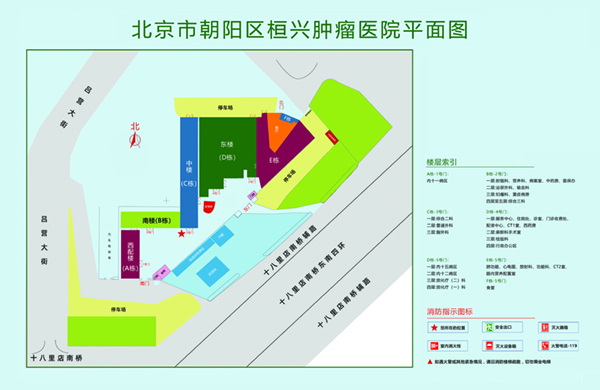 大鸡巴快操小骚逼视频北京市朝阳区桓兴肿瘤医院平面图